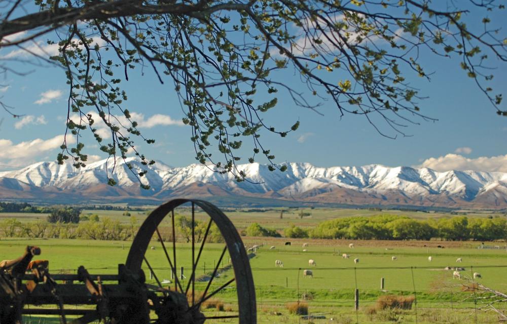 View across the Maniototo plain from the farm garden